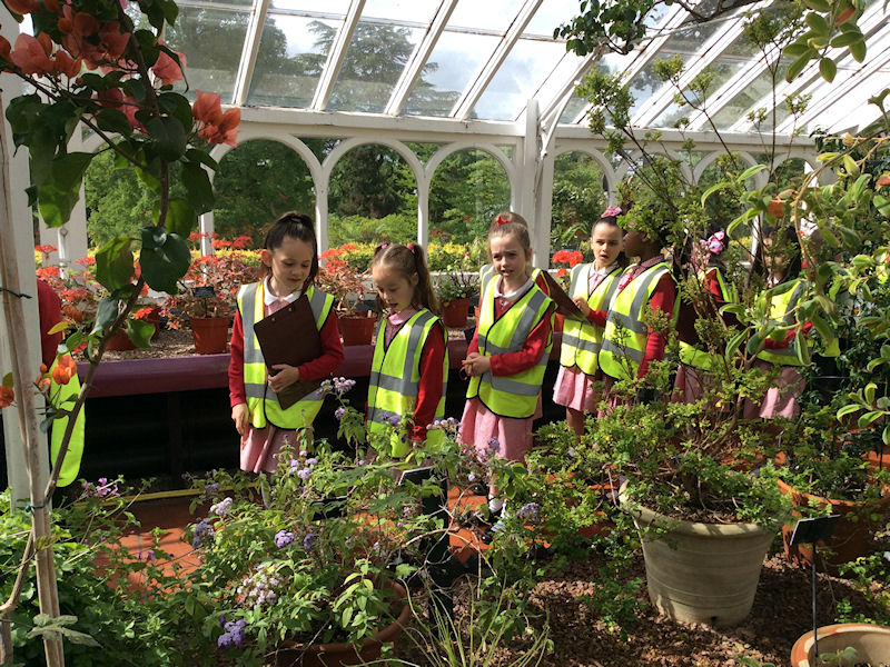 Year 2 at the Botanical Gardens