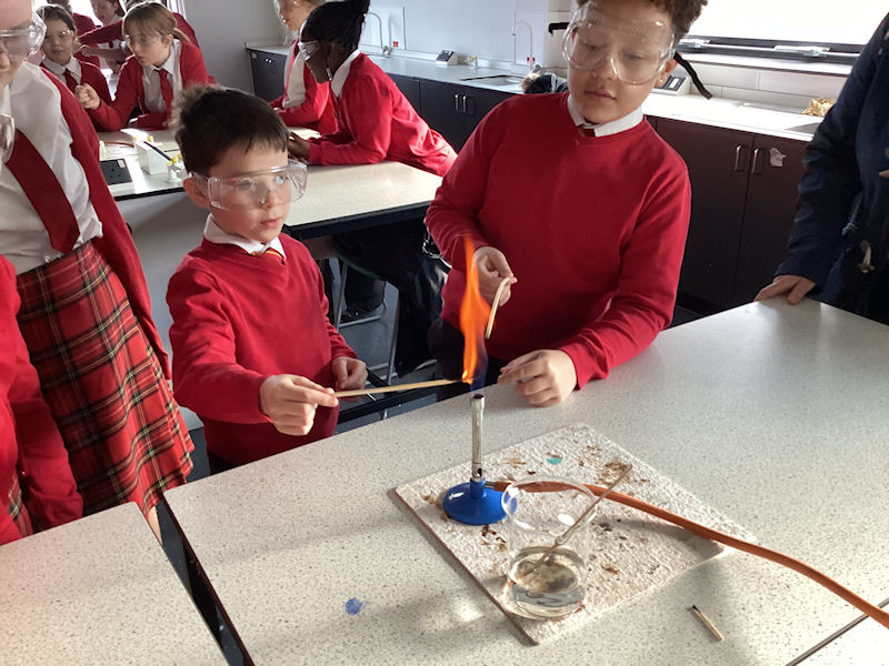 Year 5 Science Workshop