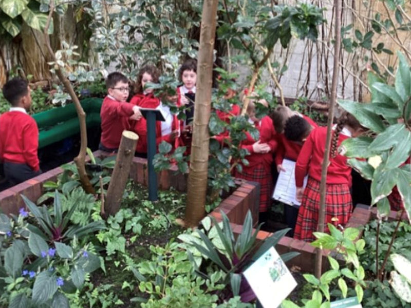 Years 1 and 2 at the Botanical Gardens